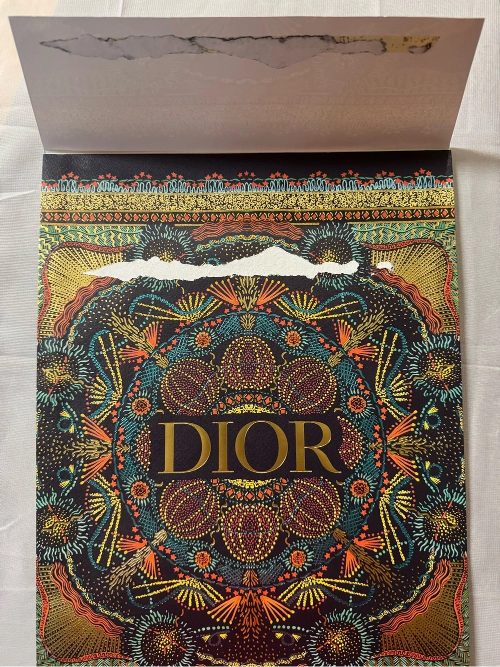 DIOR Special Edition 💯% Authentic Envelope Gift Bag. RARE intricate design. EUC